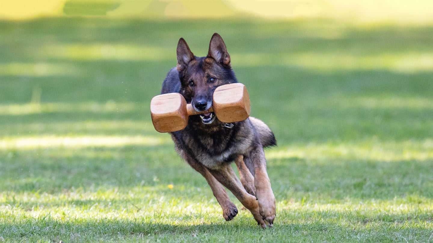 Dumbbells
