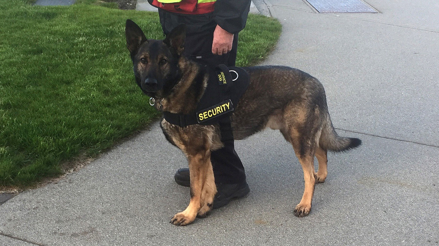 K9 Identification Badges