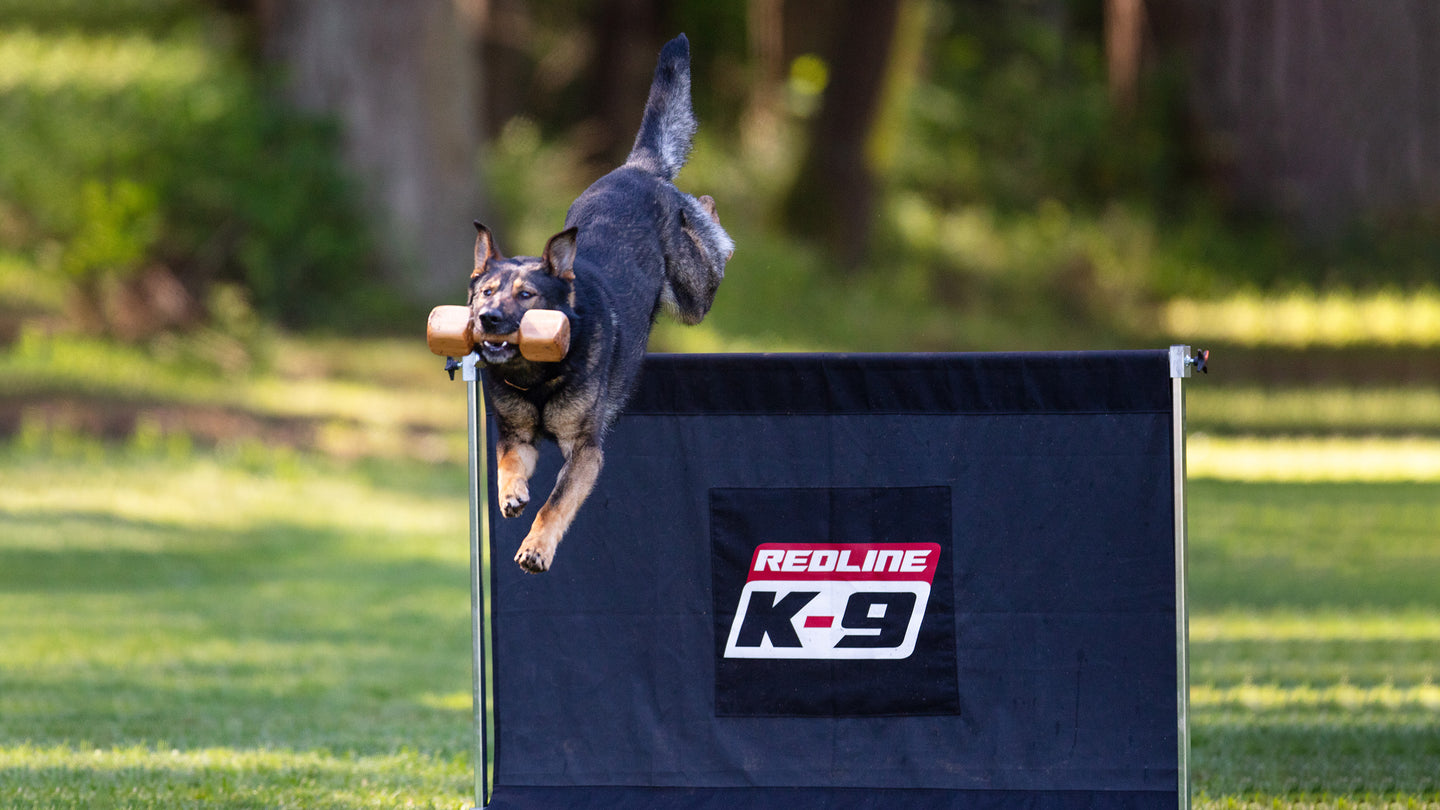 Jumps