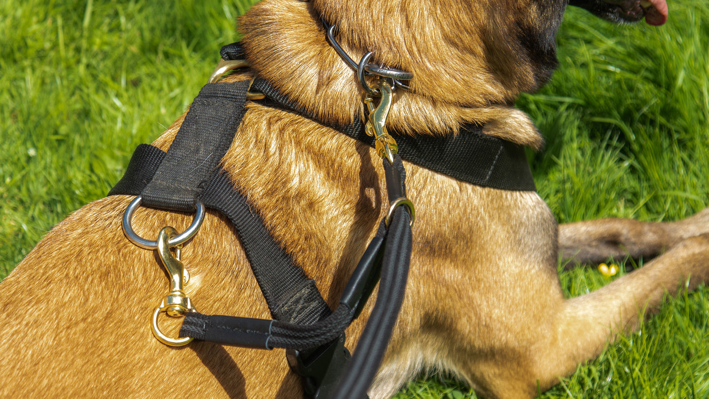 Safety Leashes & Attachments