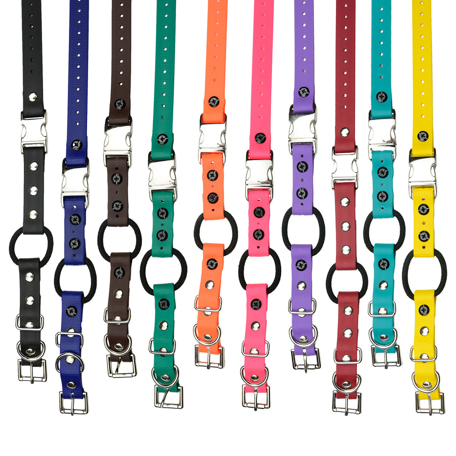 Quick snap sales bungee collar