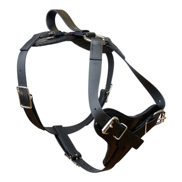 Padded All Weather Quick Release Harness