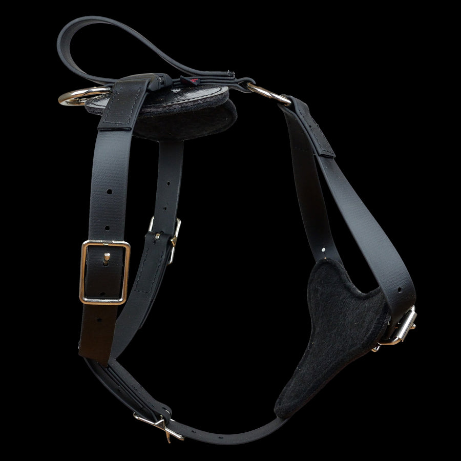 Padded All Weather Quick Release Harness