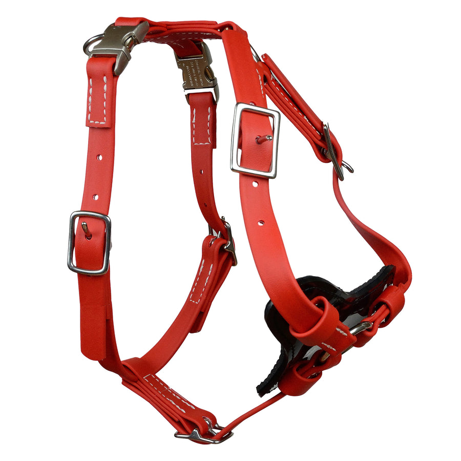 All Weather Biothane Harness