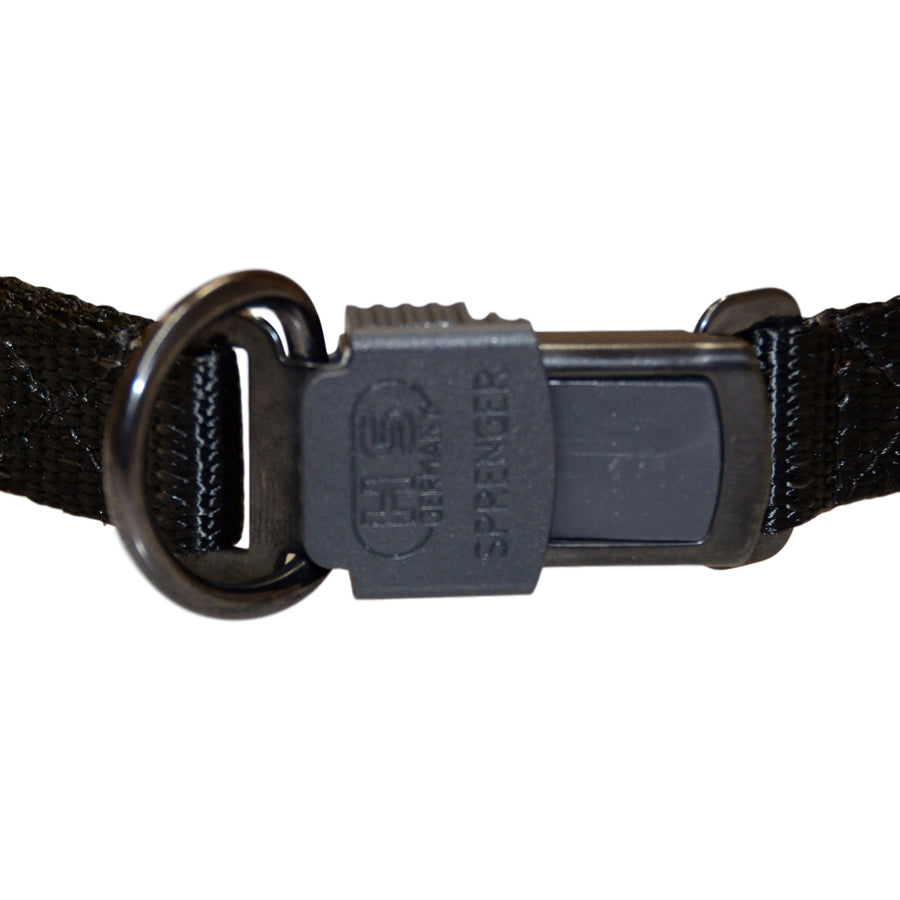 Dog collar with lock and key 2025