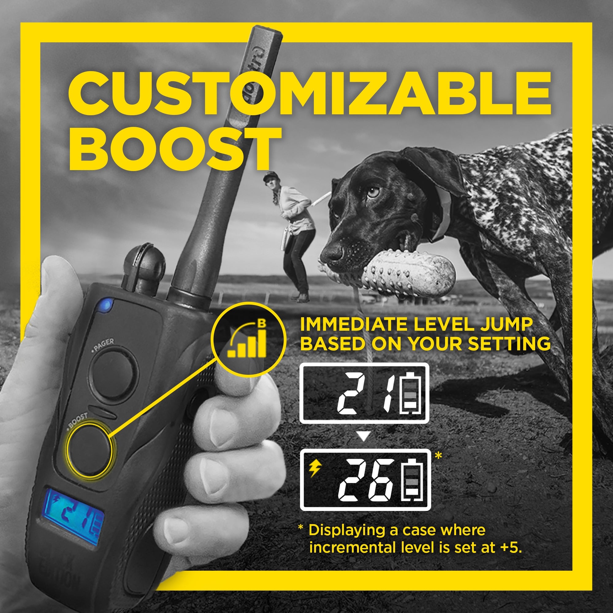 Dogtra 1900S Black Edition Boost Lock Redline K 9 Canada