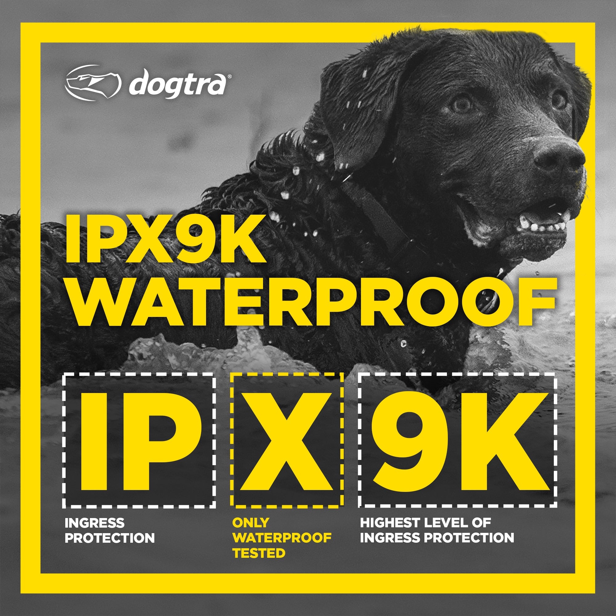 Dogtra 1900S Black Edition Boost Lock Redline K 9 Canada