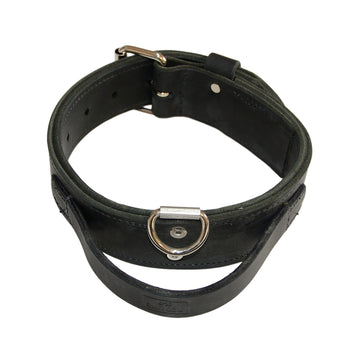 Double Leather Collar With Handle - 2
