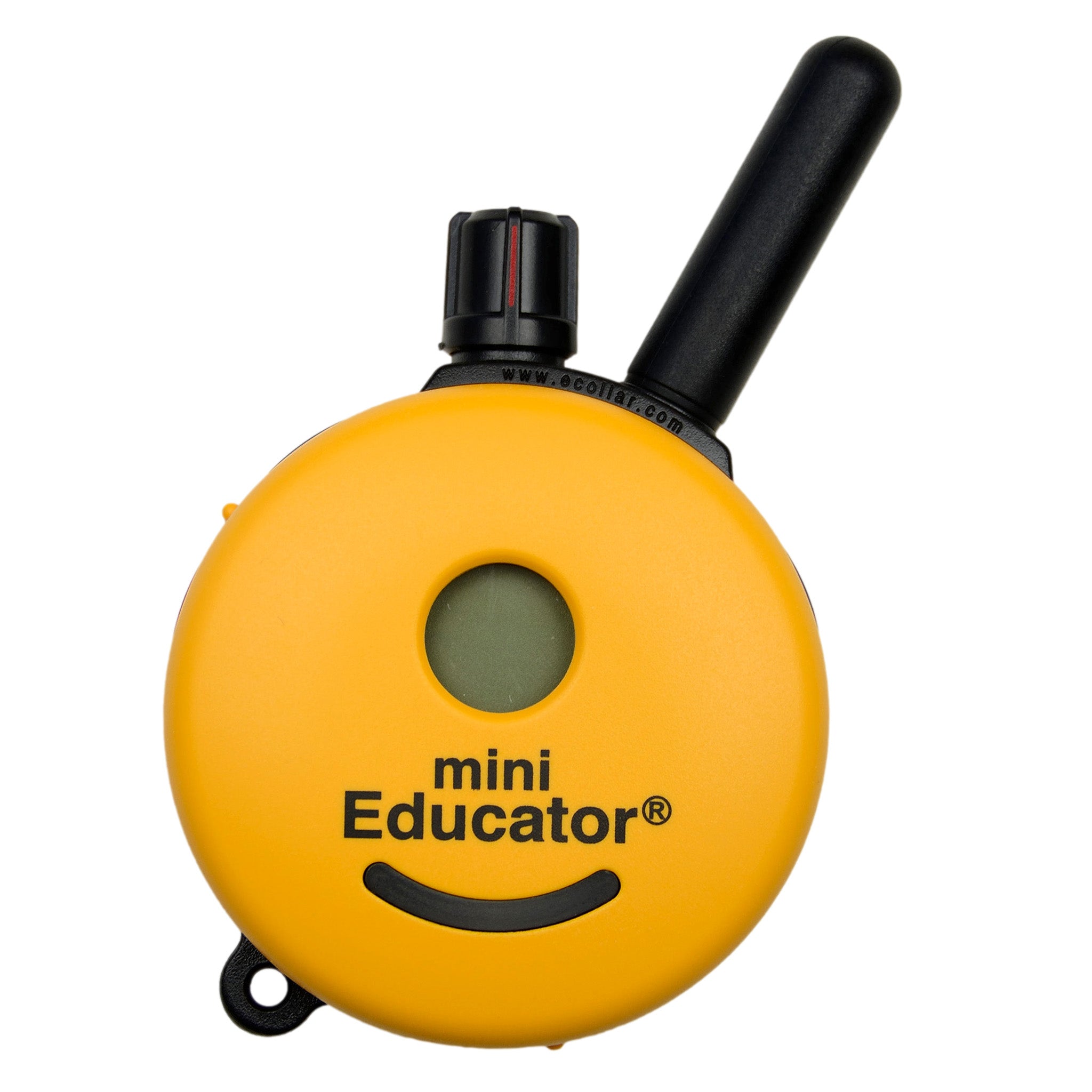 Mini educator e collar accessories store