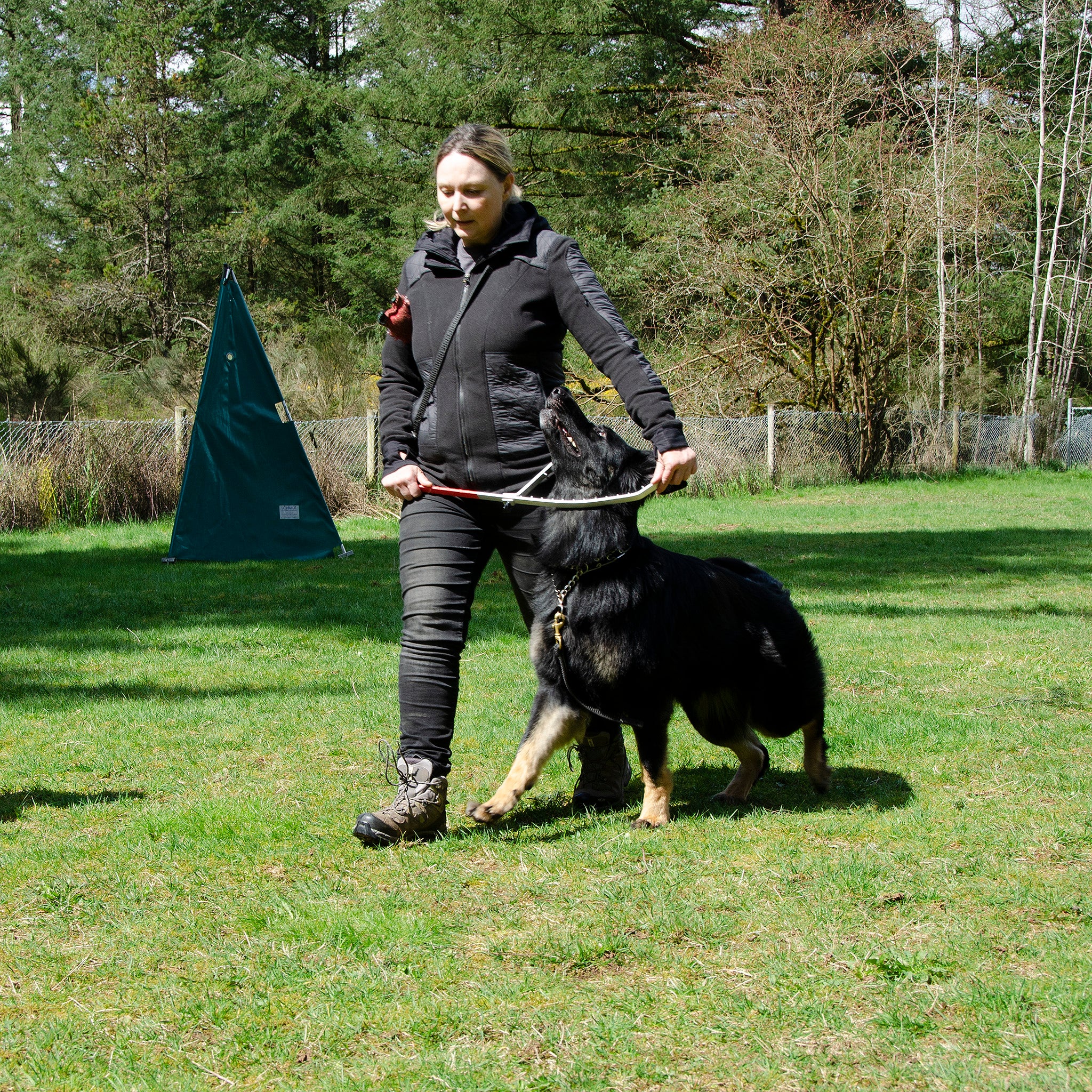 Redline K-9 Heeling And Positioning Stick – Redline K-9 Canada