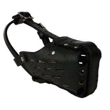 Standard Leather Dog Muzzle