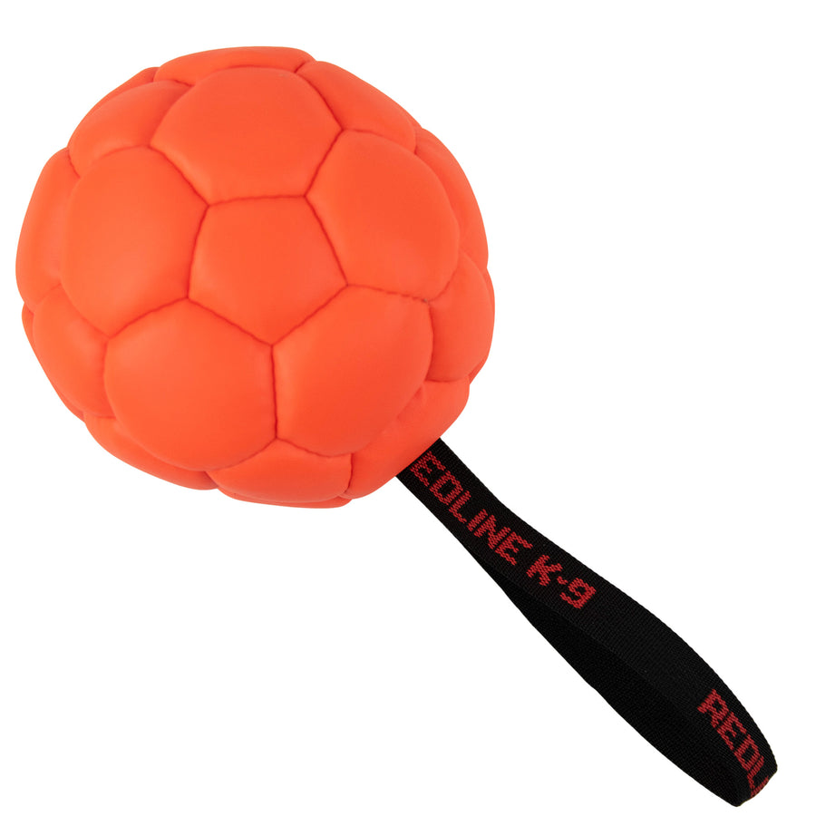 Deflated Leather Reward Ball