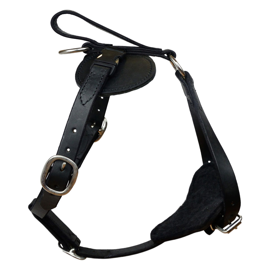 Padded Leather Quick Release Harness
