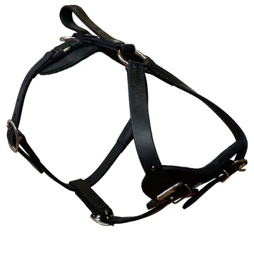 Padded Leather Quick Release Harness