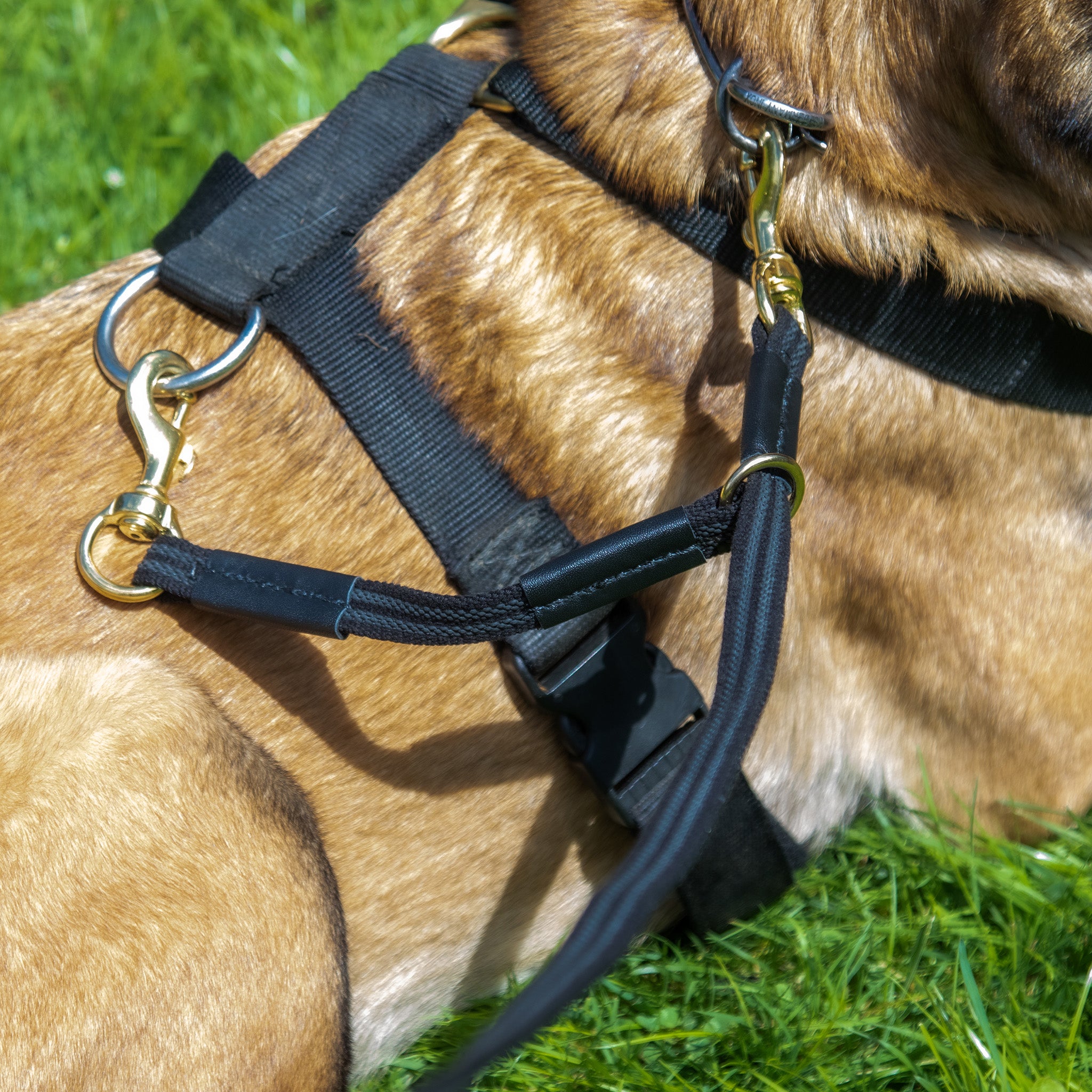 Sure Grip Leash With Floating Safety Attachment – Redline K-9 Canada