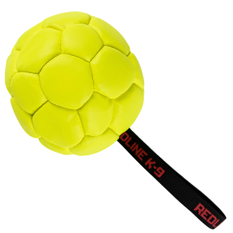 Deflated Leather Reward Ball