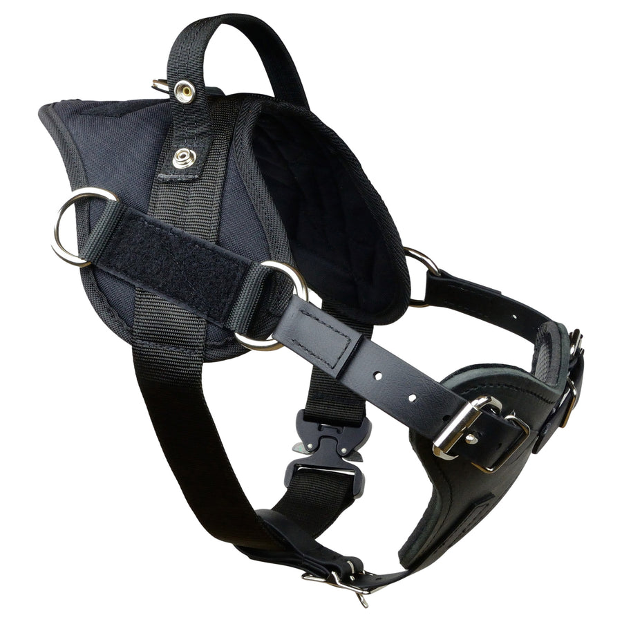 Yurkiw Harness With Cobra Buckle