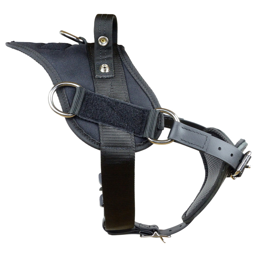 Yurkiw Harness With Cobra Buckle