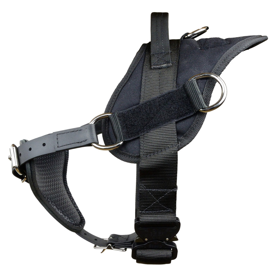 Yurkiw Harness With Cobra Buckle