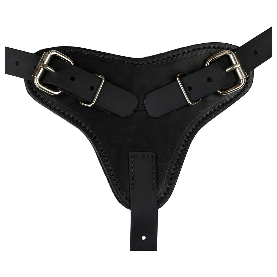 Yurkiw Harness With Cobra Buckle